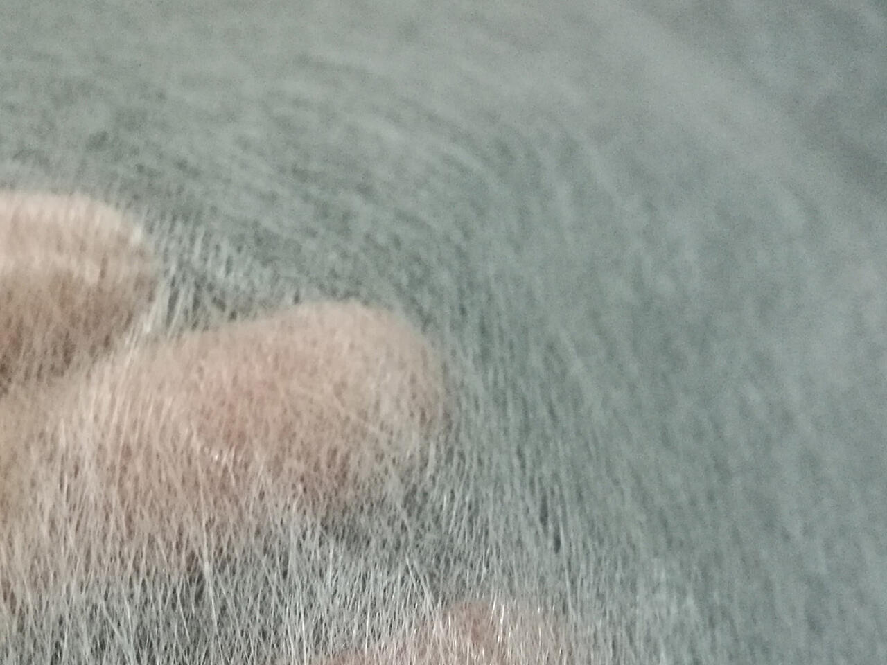 Hand slightly blurred behind glass fibre fabric